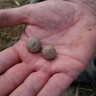 unfired-musket-balls-from-the-battle-of-waterloo